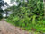 Terreno, 1200 m² - Foto 1