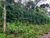 Terreno, 1200 m² - Foto 2