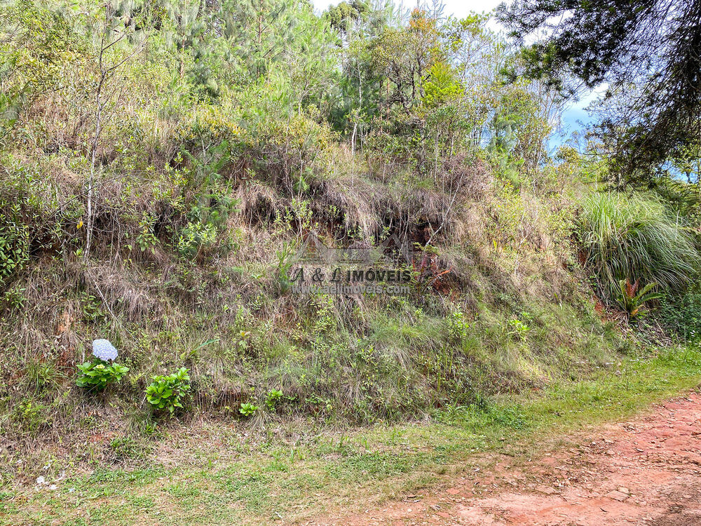 Terreno, 1180 m² - Foto 3