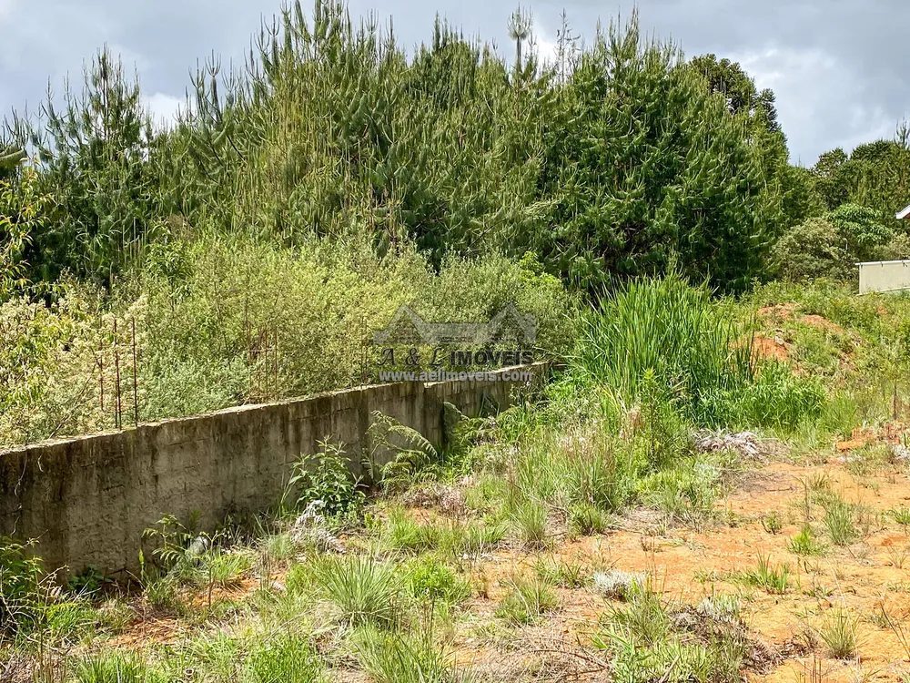 Terreno, 2055 m² - Foto 13