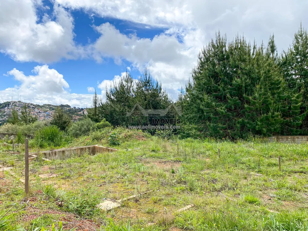 Terreno, 2055 m² - Foto 8