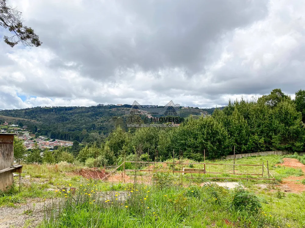 Terreno, 2055 m² - Foto 5