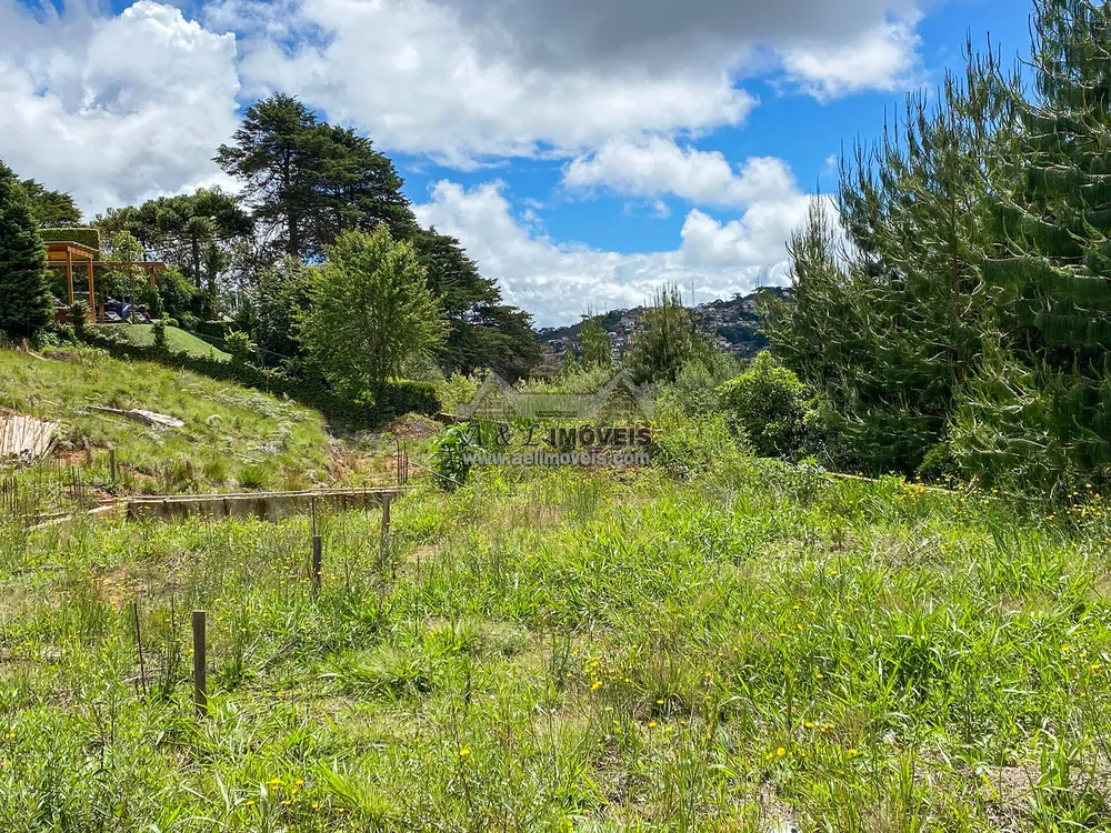 Terreno, 2055 m² - Foto 11