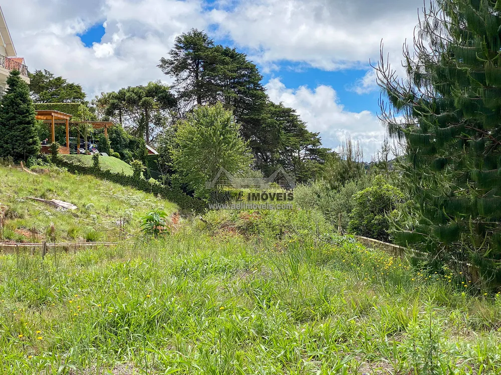 Terreno, 2055 m² - Foto 9