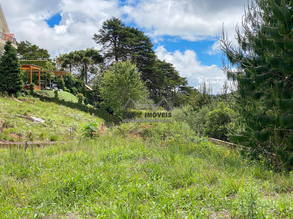 Terreno, 2055 m² - Foto 7
