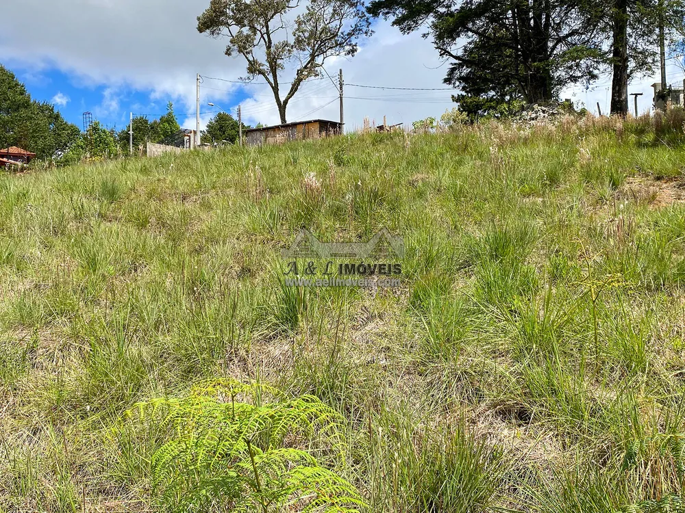 Terreno, 2055 m² - Foto 4