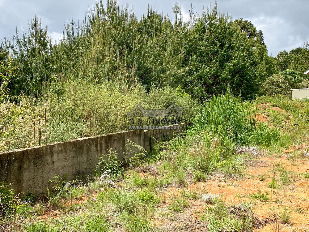 Terreno, 2055 m² - Foto 5