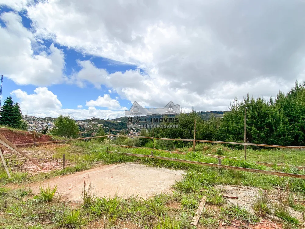 Terreno, 2055 m² - Foto 7