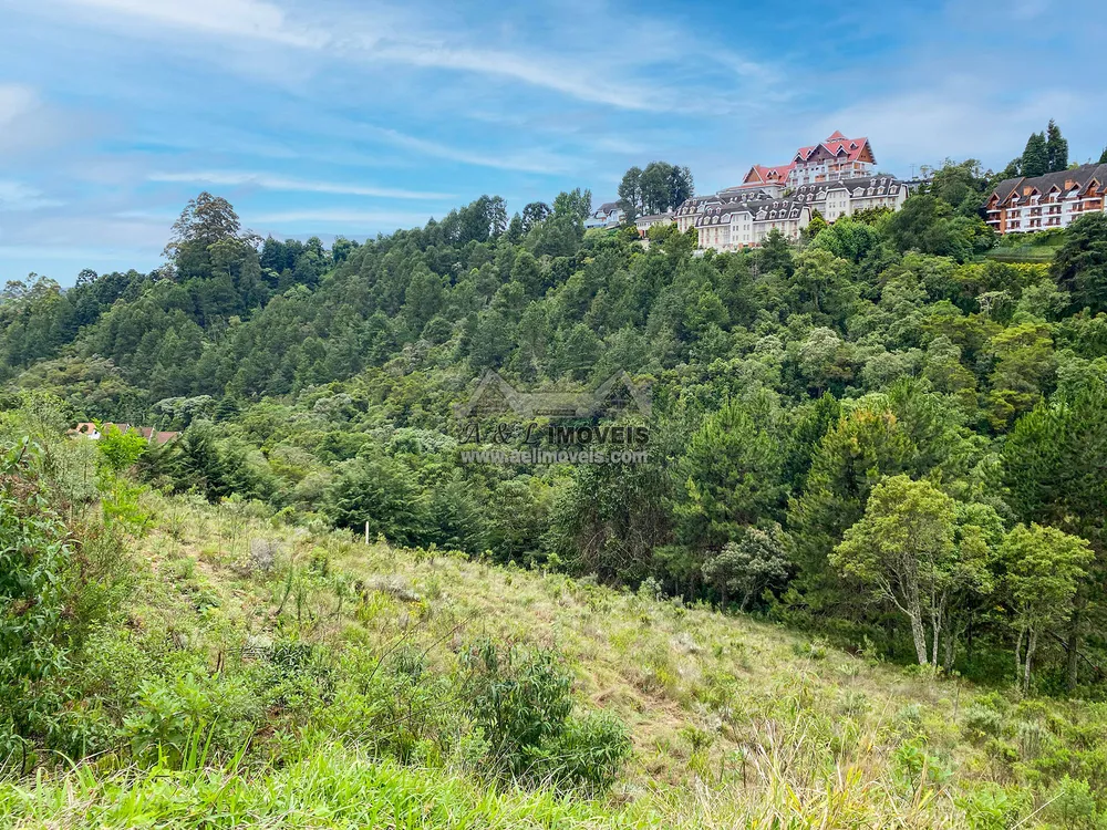 Terreno, 2507 m² - Foto 6