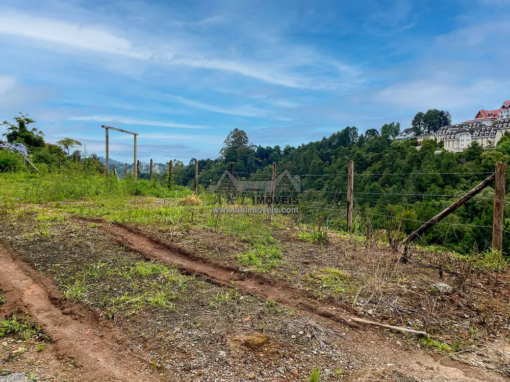 Terreno, 2507 m² - Foto 4