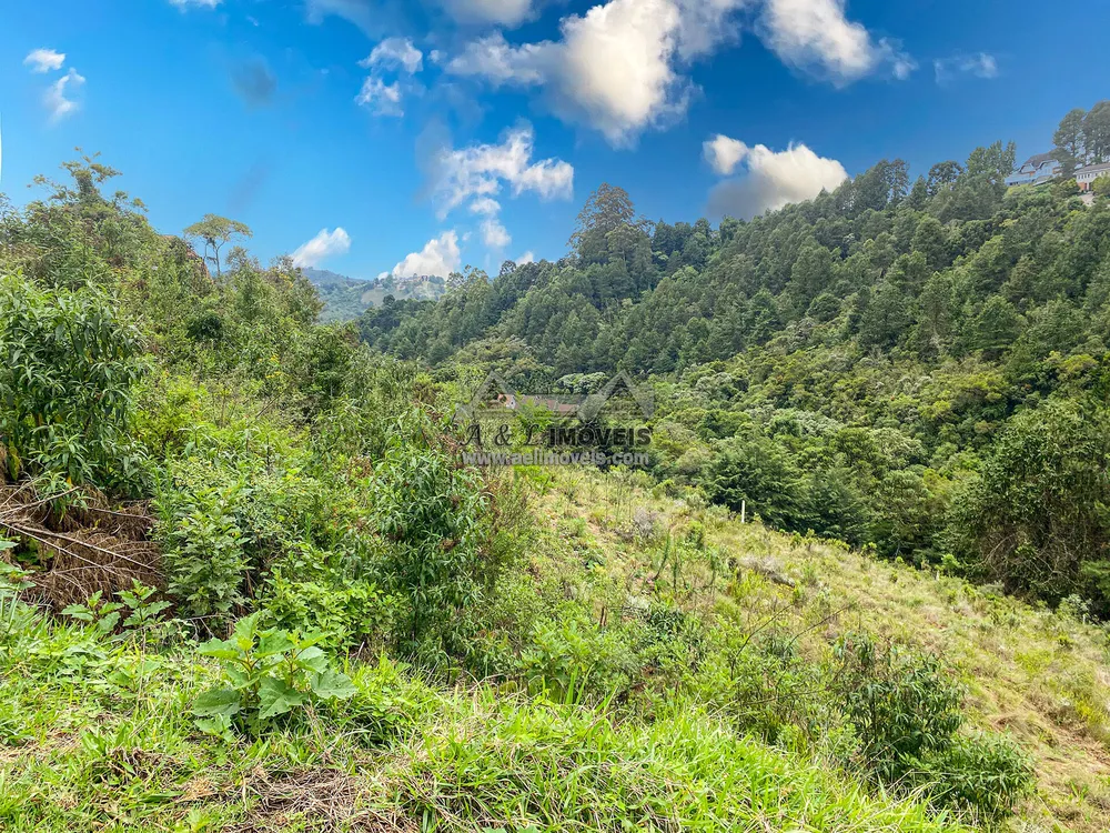Terreno, 2507 m² - Foto 5