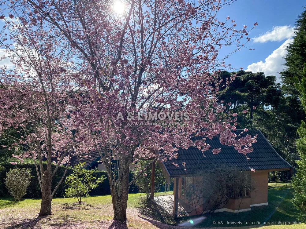 Casa, 5 quartos, 417 m² - Foto 14