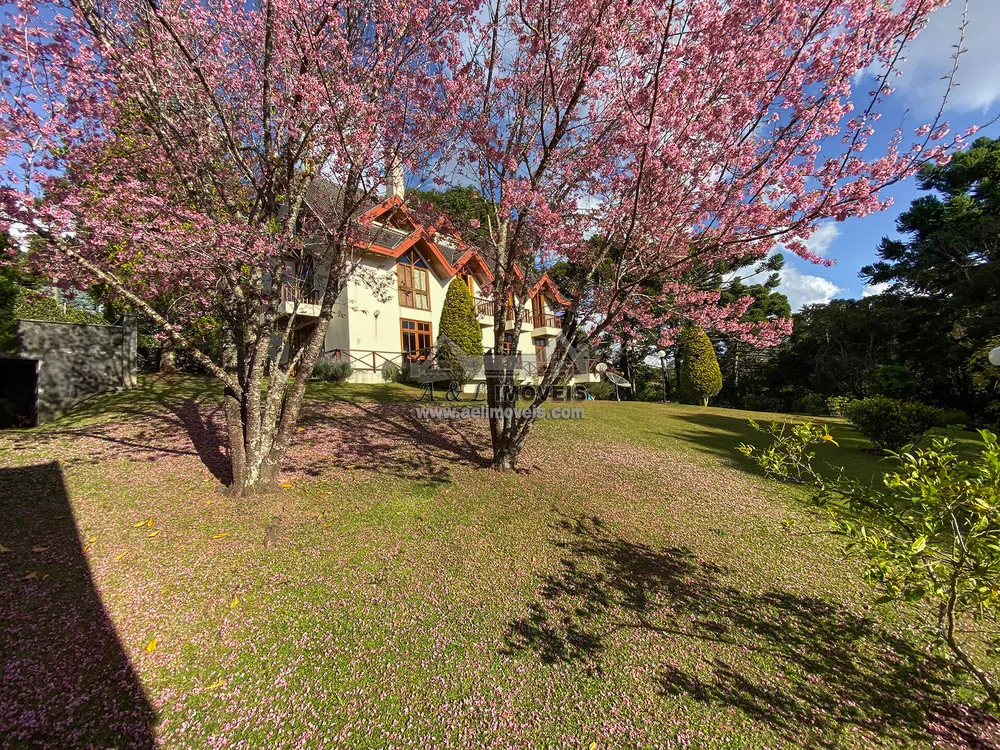Casa, 5 quartos, 417 m² - Foto 3