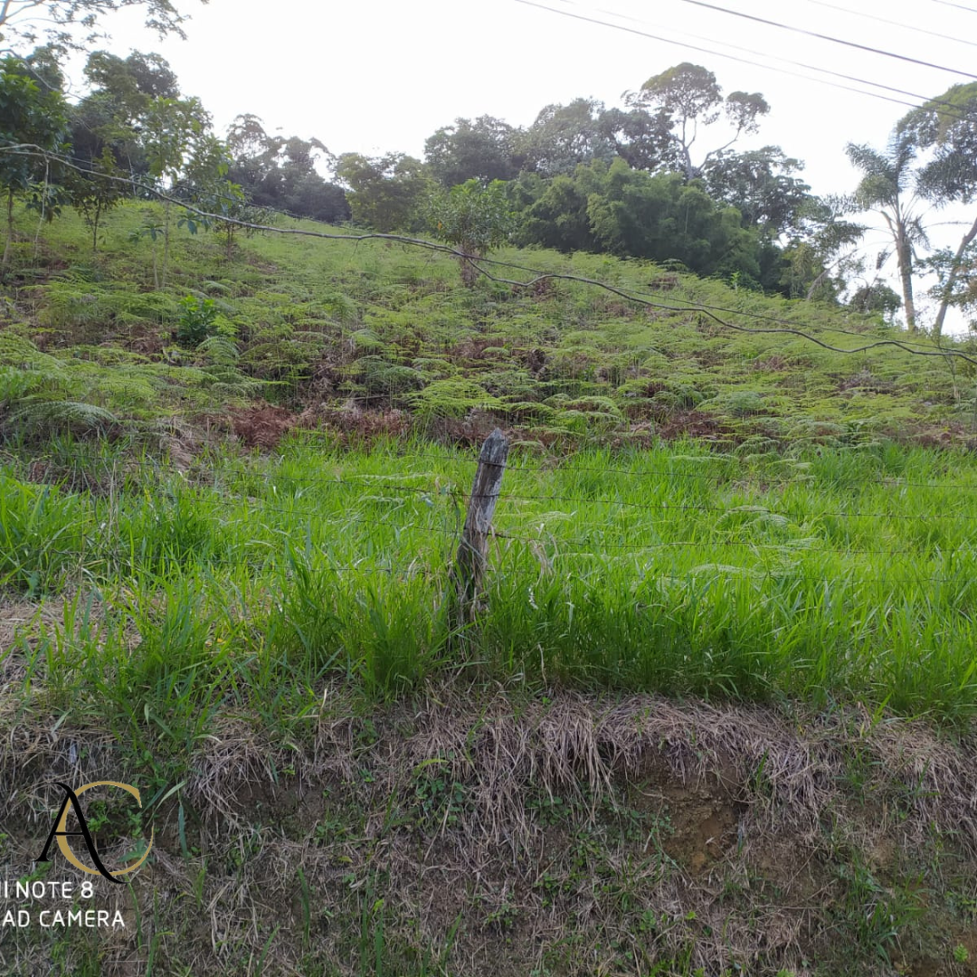 Terreno à venda, 2000m² - Foto 5