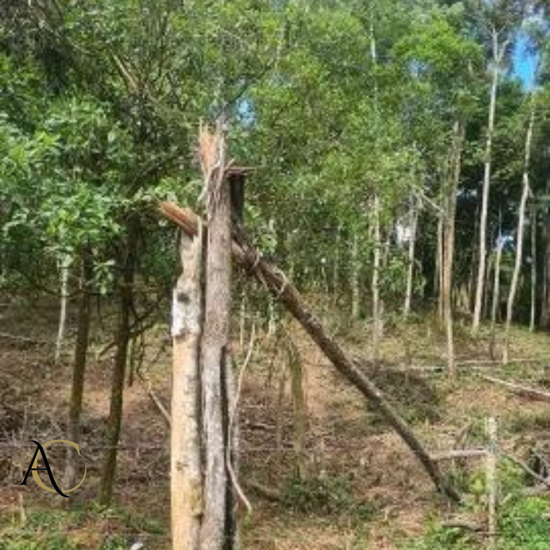 Terreno, 1634 m² - Foto 6