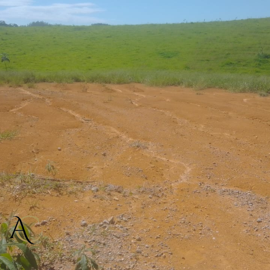 Terreno à venda, 1355m² - Foto 19