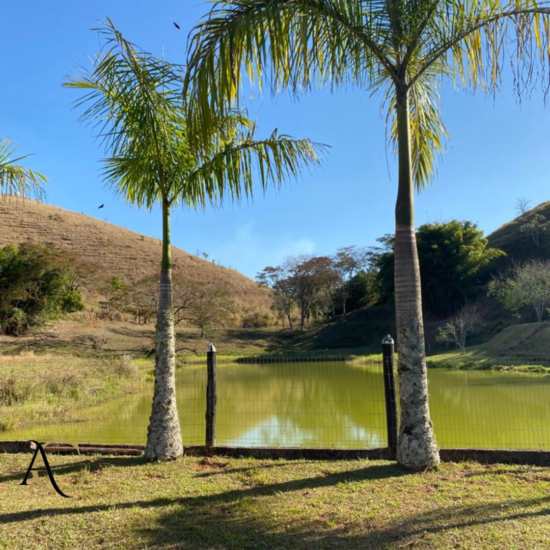 Sítio, 5 quartos - Foto 3