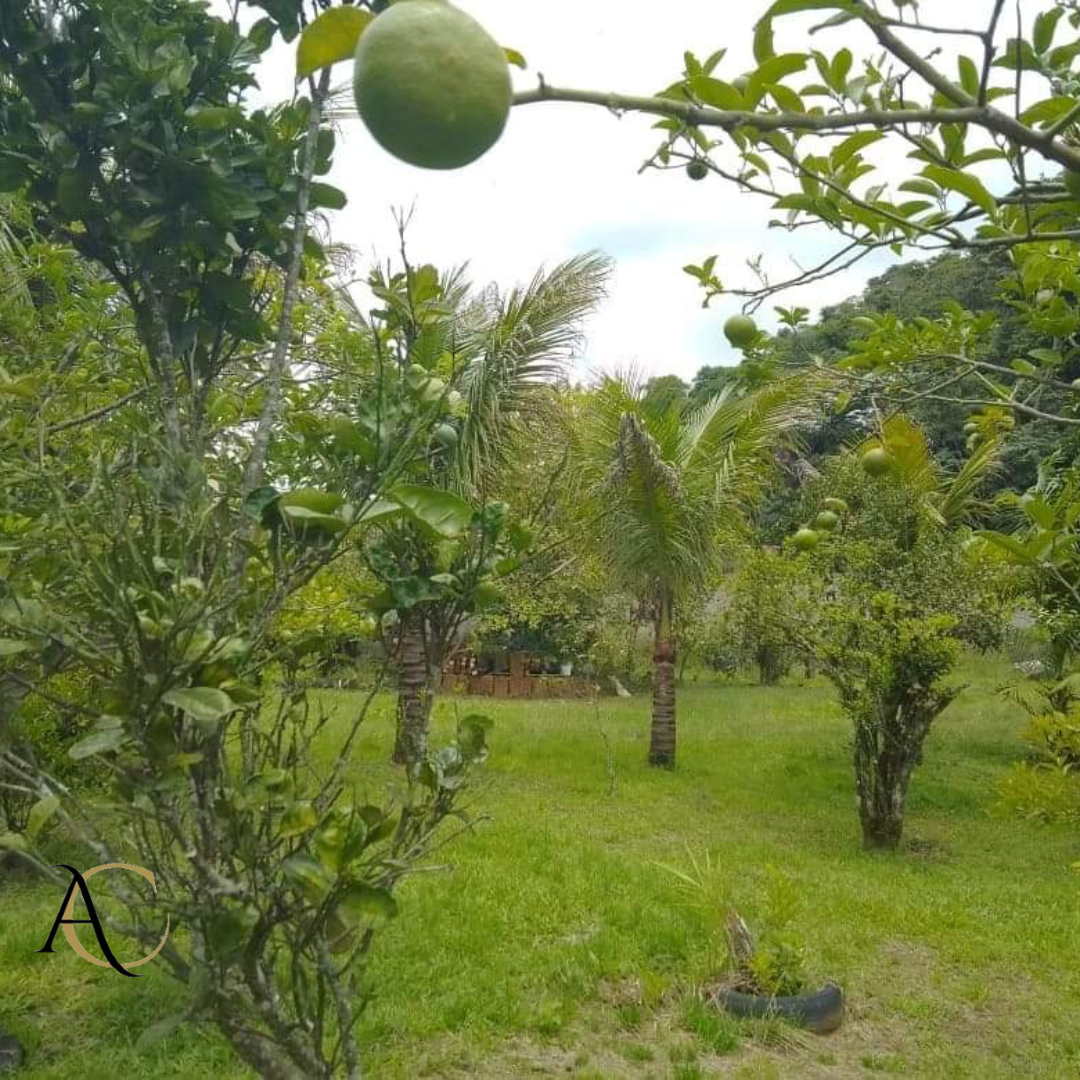 Terreno à venda, 1000m² - Foto 3