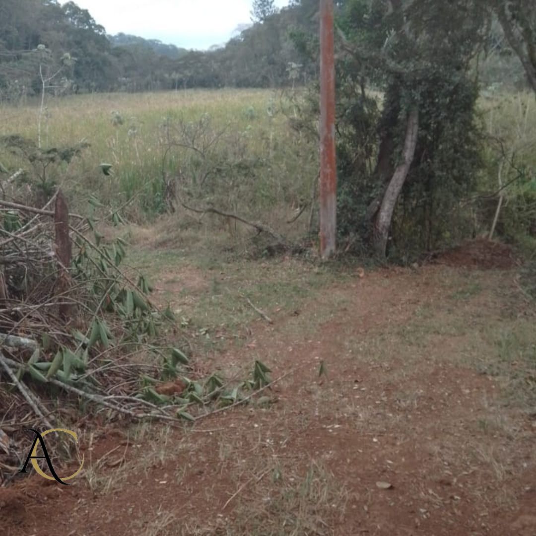 Terreno à venda, 1957m² - Foto 14