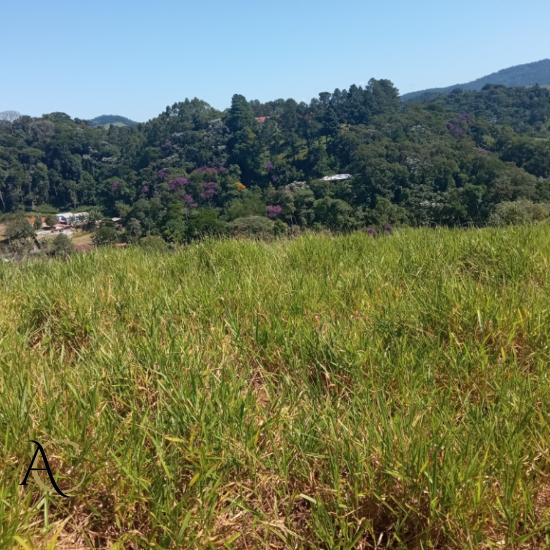 Terreno à venda, 1736m² - Foto 1