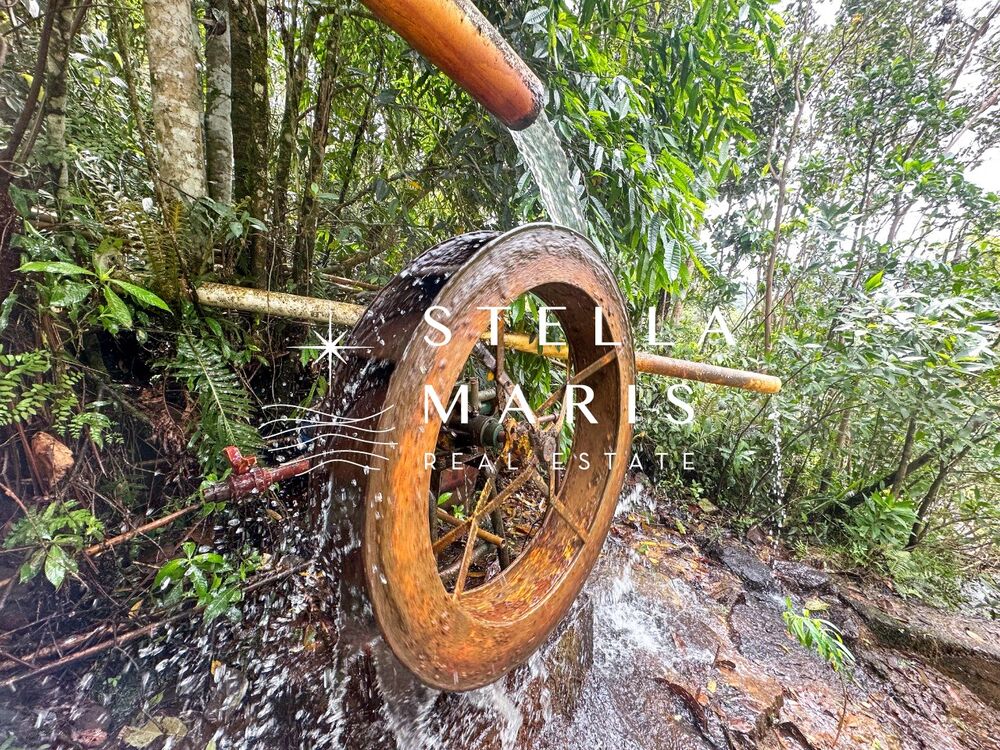 Terreno, 72 hectares - Foto 2