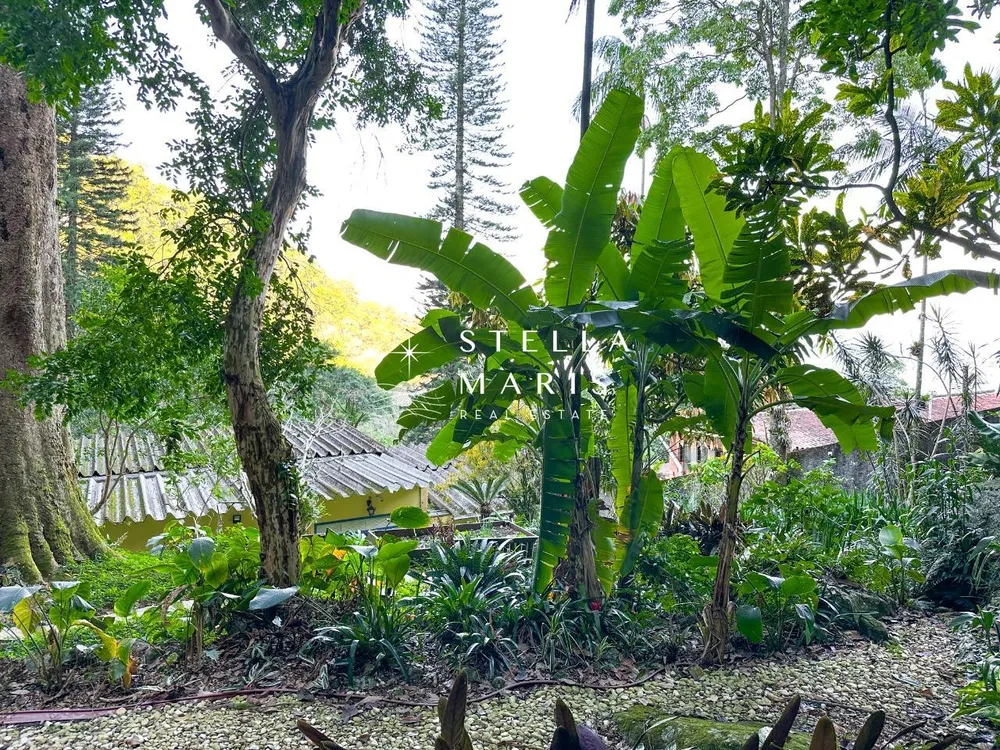 Casa, 4 quartos, 250 m² - Foto 34