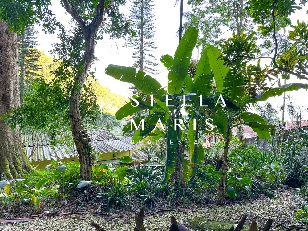Casa, 4 quartos, 250 m² - Foto 11