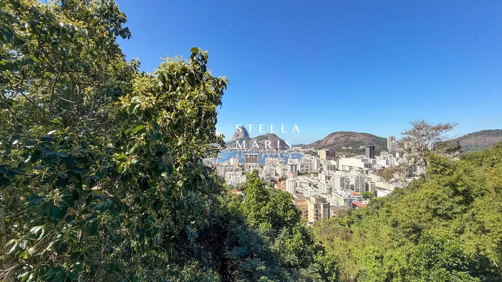 Apartamento, 4 quartos, 398 m² - Foto 18