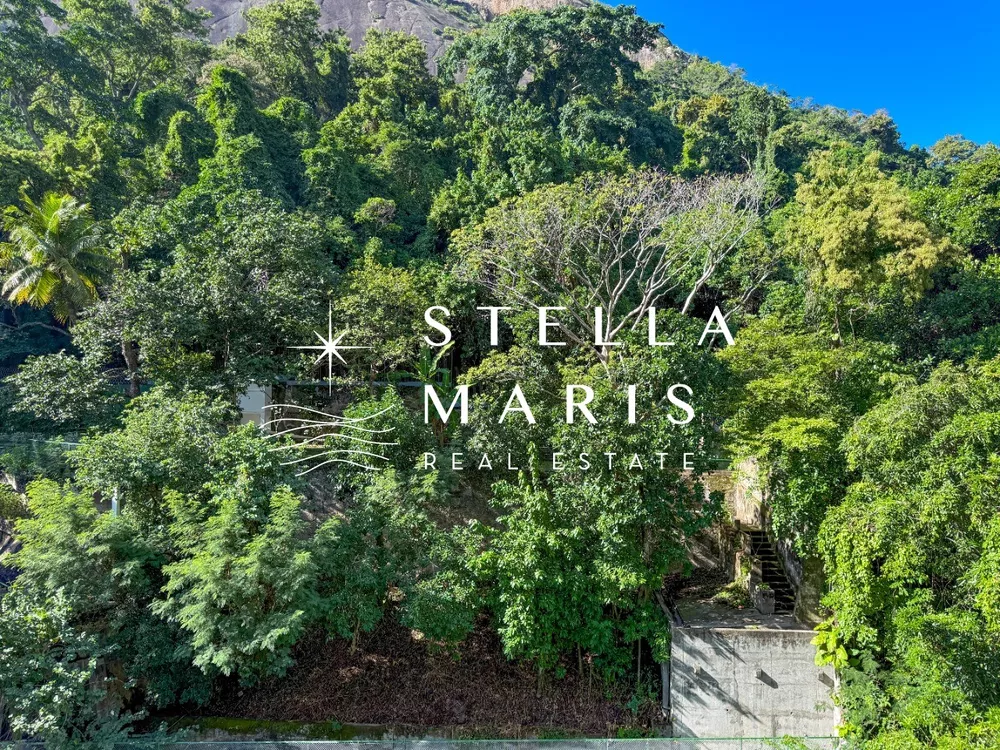Apartamento, 4 quartos, 210 m² - Foto 13