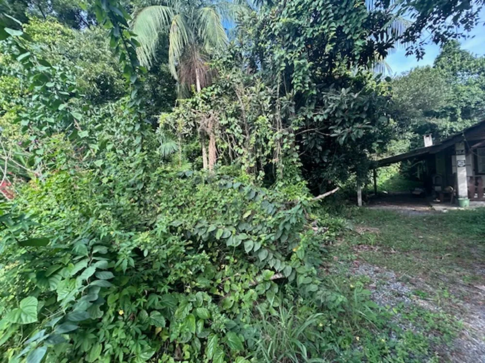 Terreno, 3000 m² - Foto 8
