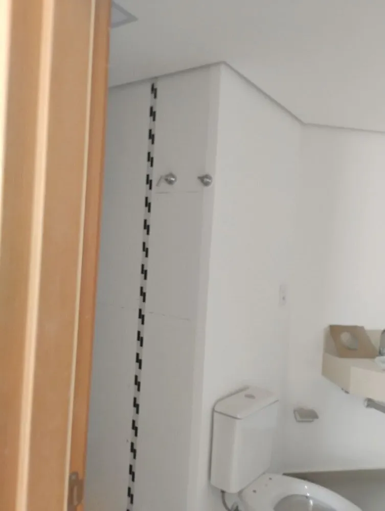 Cobertura, 3 quartos, 256 m² - Foto 4