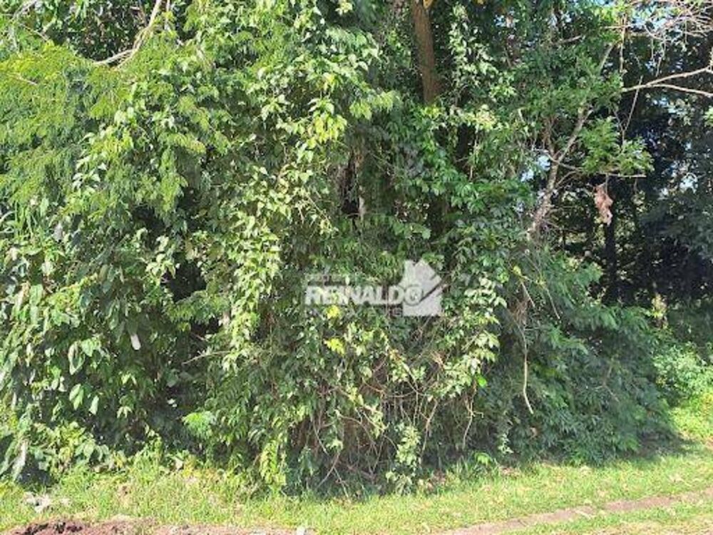 Loteamento e Condomínio, 1000 m² - Foto 12