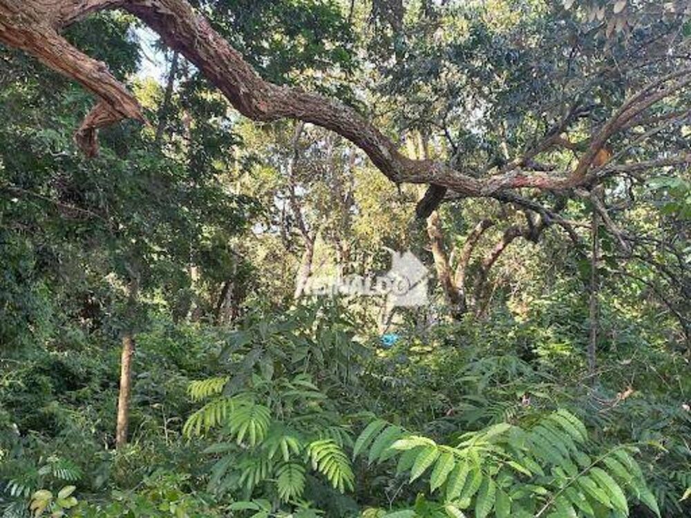 Loteamento e Condomínio, 1000 m² - Foto 10