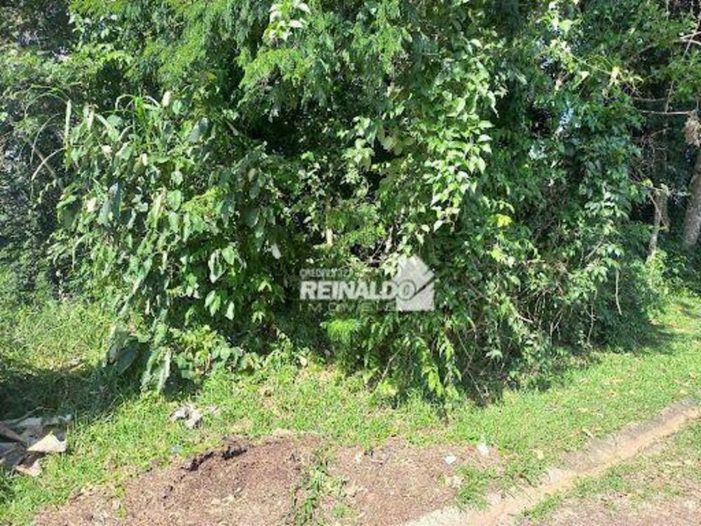 Loteamento e Condomínio, 1000 m² - Foto 14