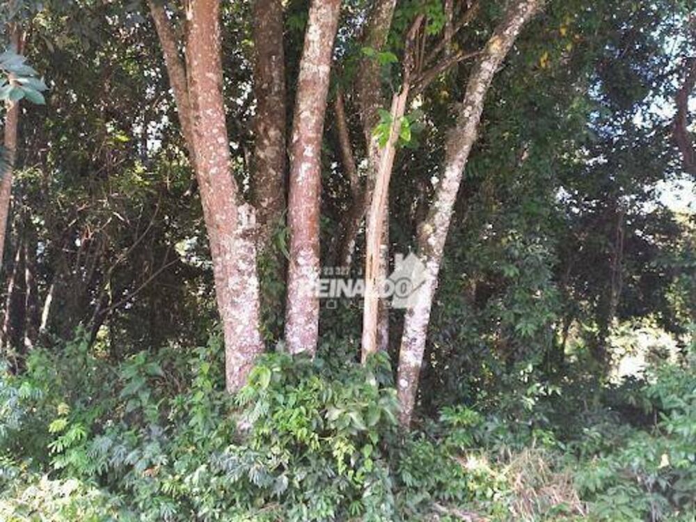 Loteamento e Condomínio, 1000 m² - Foto 9
