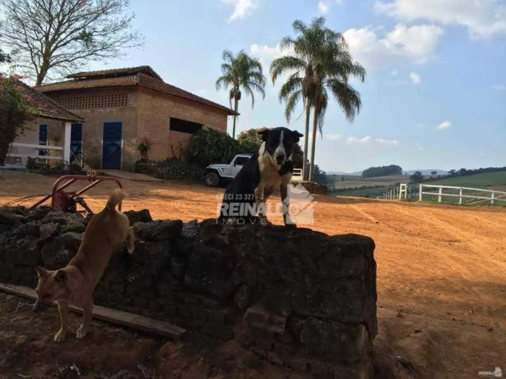 Fazenda, 15 hectares - Foto 13