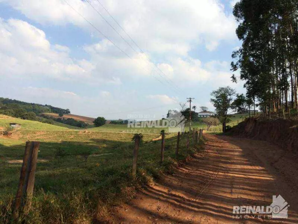 Haras e Área Rural Padrão à venda com 2 quartos, 1400m² - Foto 3