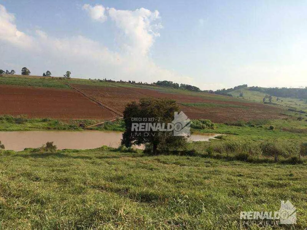 Haras e Área Rural Padrão à venda com 2 quartos, 1400m² - Foto 6