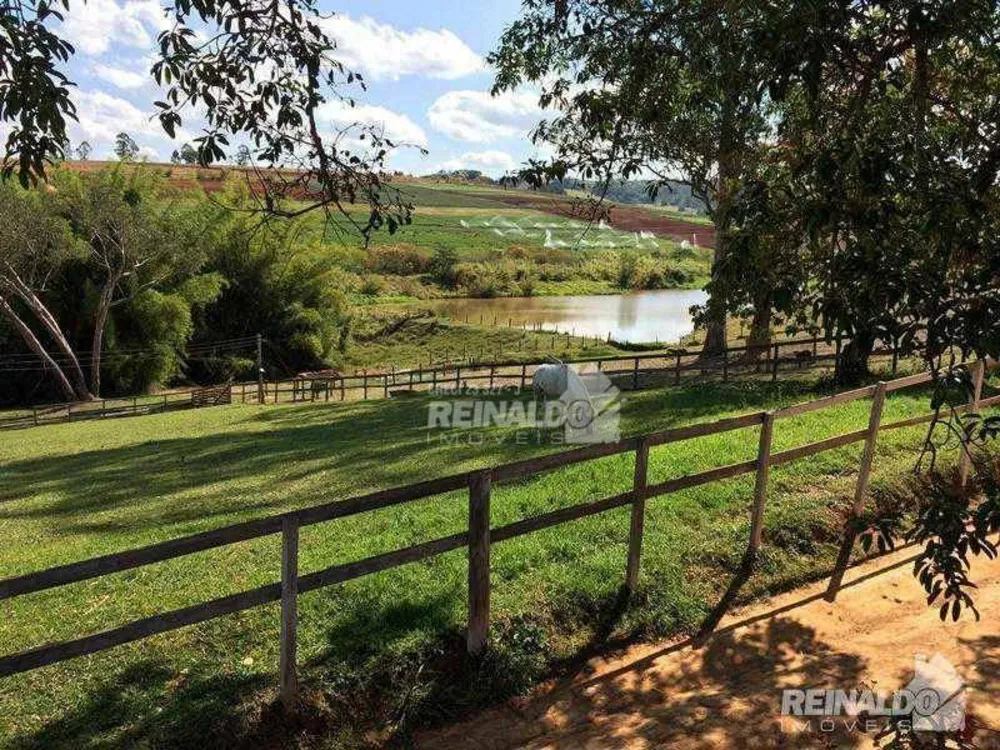 Fazenda, 15 hectares - Foto 10