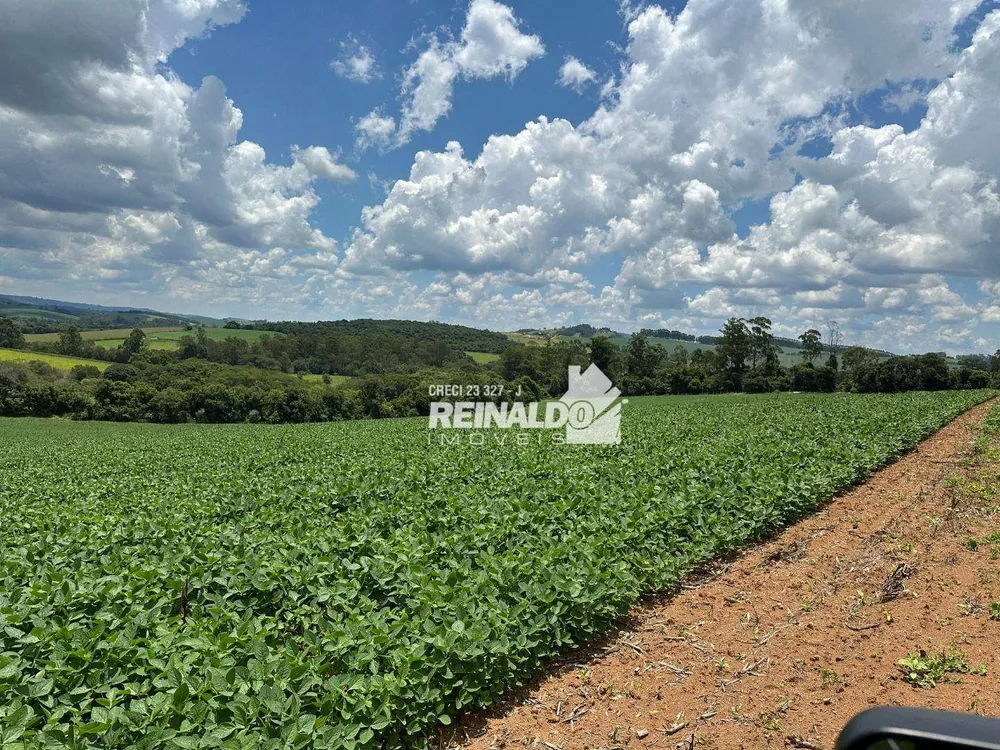 Sítio, 1 quarto, 5 hectares - Foto 26