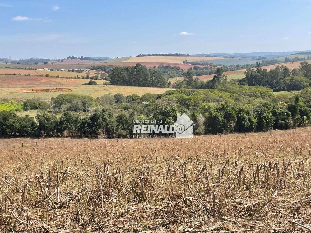Sítio, 1 quarto, 5 hectares - Foto 4