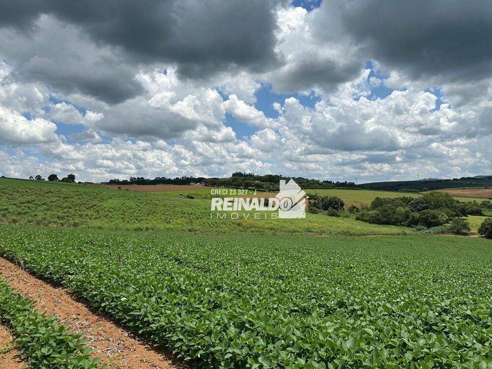Sítio, 1 quarto, 5 hectares - Foto 20