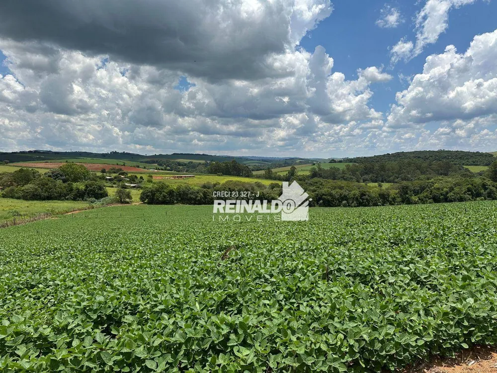 Sítio, 1 quarto, 5 hectares - Foto 23