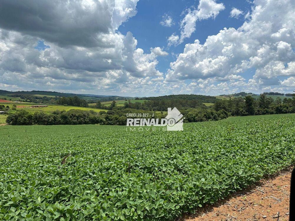 Sítio, 1 quarto, 5 hectares - Foto 15