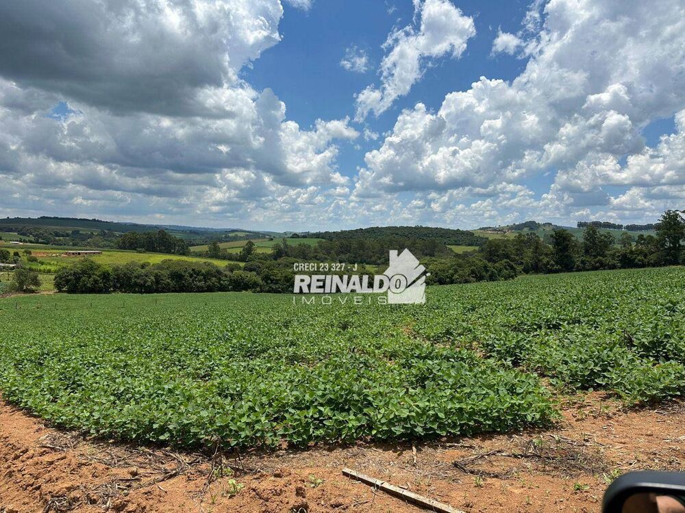 Sítio, 1 quarto, 5 hectares - Foto 1