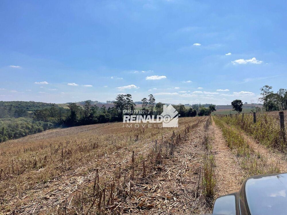Sítio, 1 quarto, 5 hectares - Foto 17