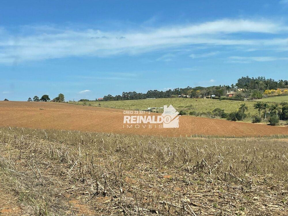 Sítio, 1 quarto, 5 hectares - Foto 2