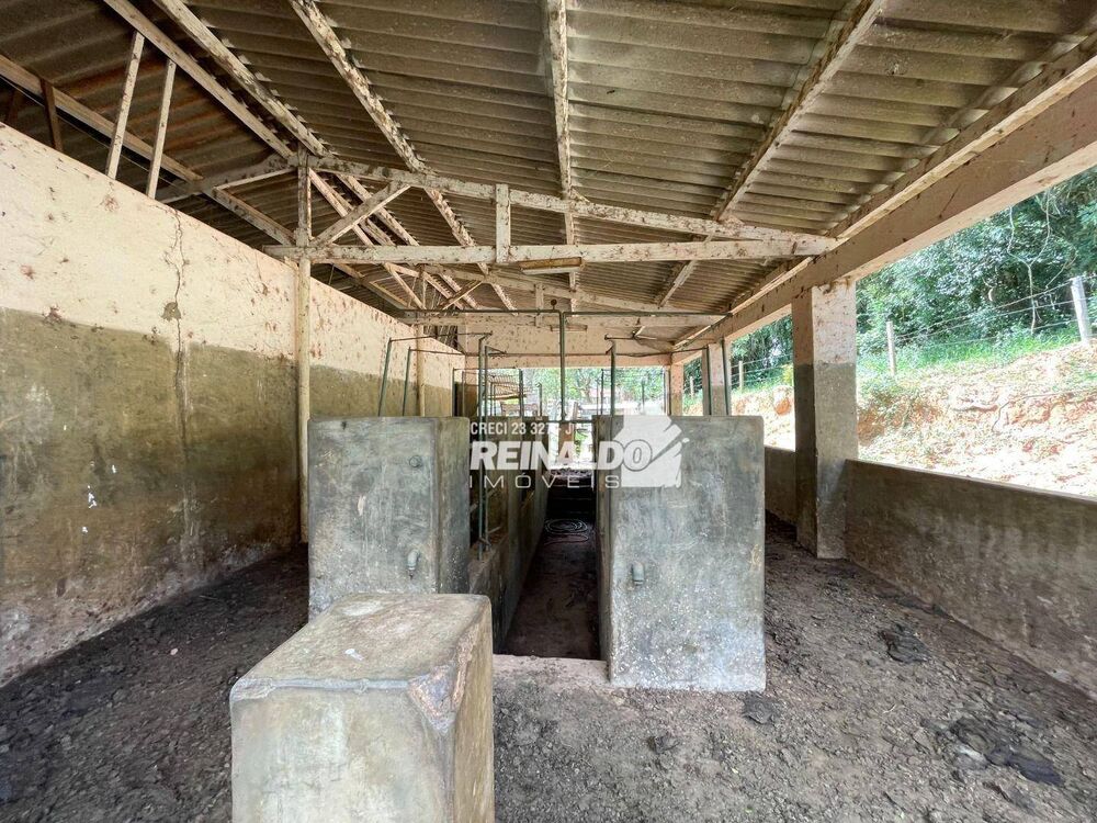 Sítio à venda com 3 quartos, 550m² - Foto 19