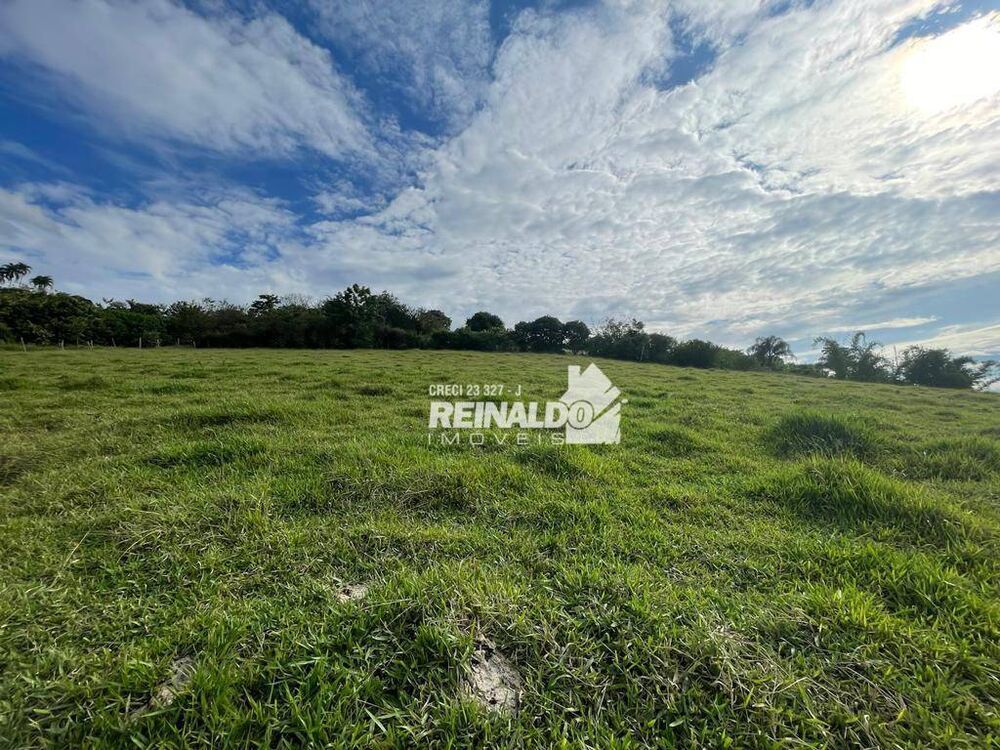 Terreno, 1 hectares - Foto 3
