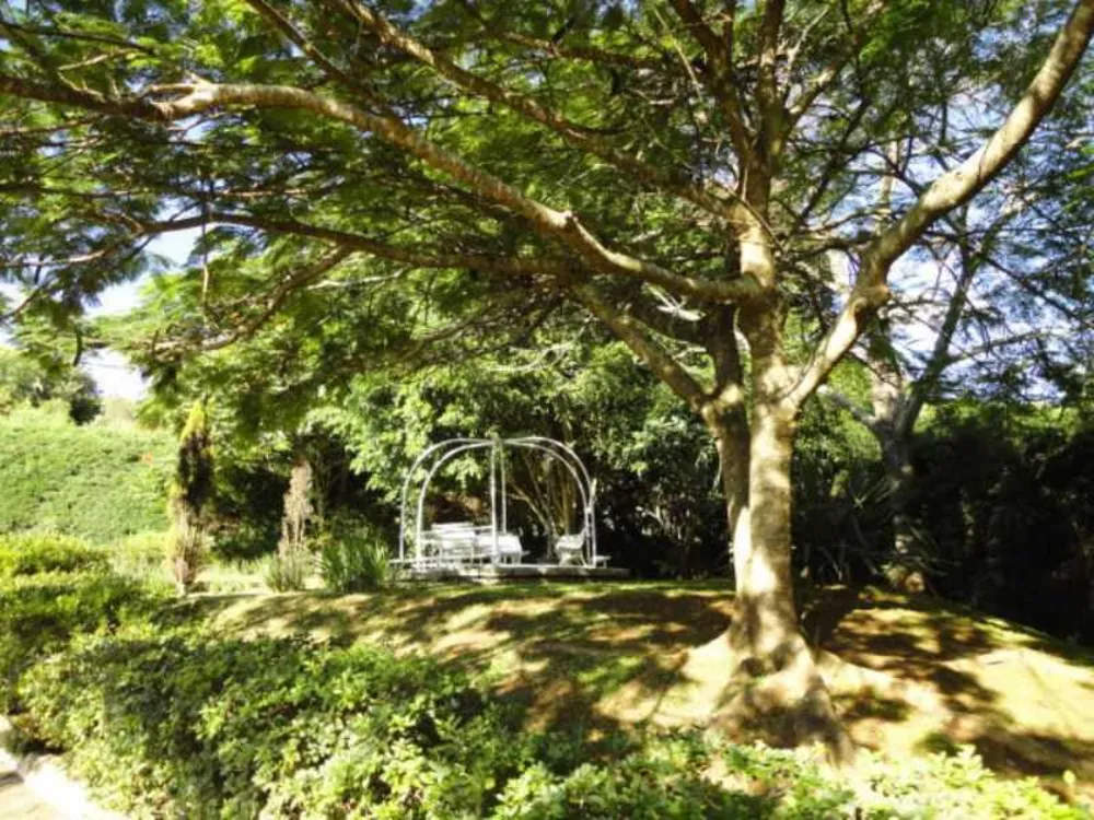 Casa, 3 quartos, 350 m² - Foto 3